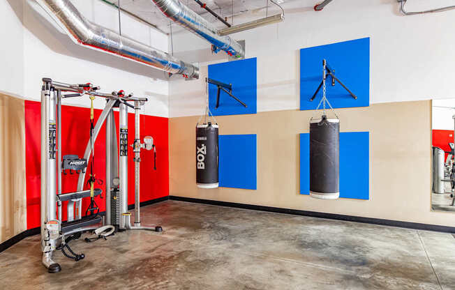A gym with a punching bag and a boxing ring.