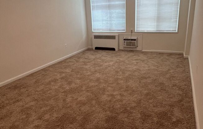 Studio, 1 bath, $1,500, Unit 1225-105