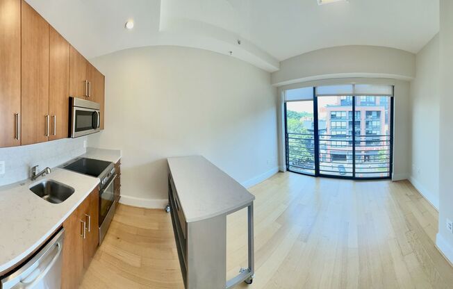 1 bed, 1 bath, $2,450, Unit 509