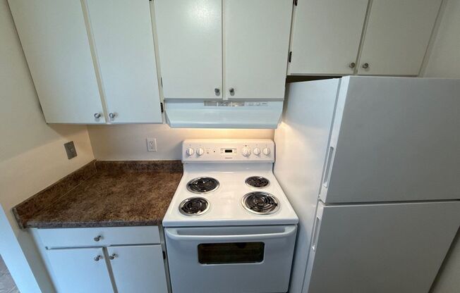 1 bed, 1 bath, 660 sqft, $1,095, Unit 485