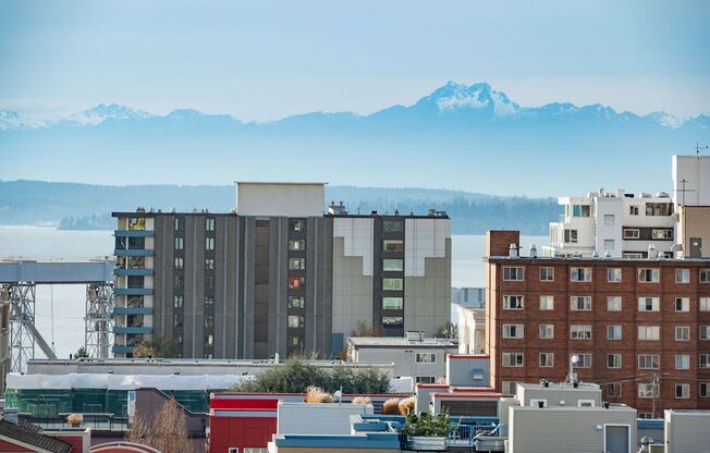 1 bed, 1 bath, 585 sqft, $1,715, Unit 515