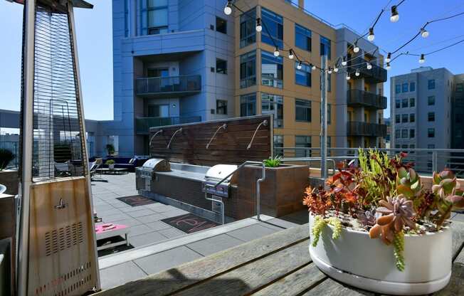 Rooftop Terrace at Venn Apartments, San Francisco, CA