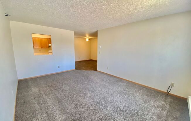 2 beds, 1 bath, 913 sqft, $850, Unit 203