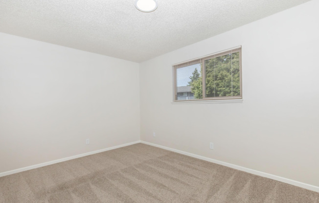 1 bed, 1 bath, 620 sqft, $1,350