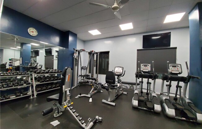 1 bed, 2 baths, 888 sqft, $4,995, Unit 2204