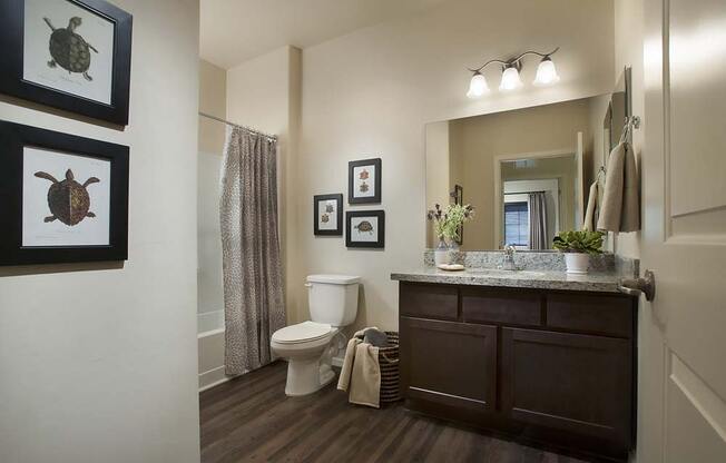 a bathroom with a toilet and a sink and a mirror
