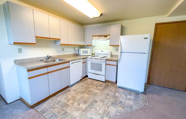 Studio, 1 bath, 413 sqft, $1,395, Unit 410