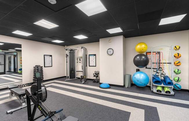 our gym is equipped with everything you need for a workout