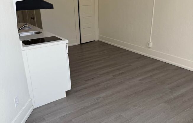 Studio, 1 bath, 250 sqft, $1,195, Unit 200