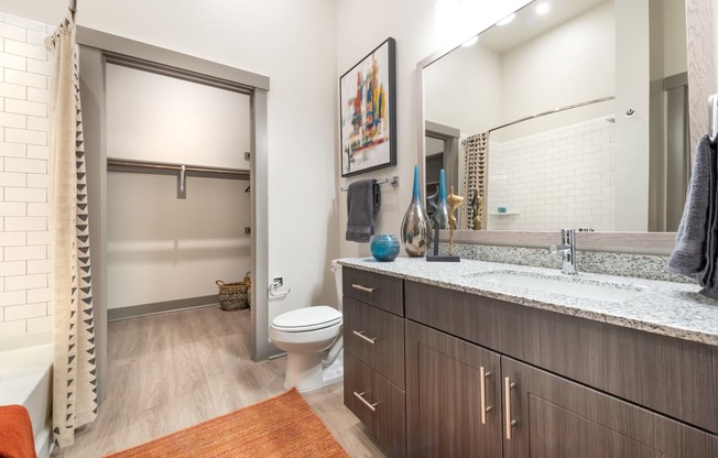 Bathroom With Spacious Closet at The Bridge at McKinney, McKinney, Texas, 75069