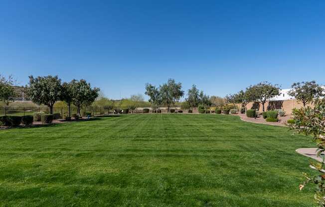 On-Site Dog Park at Avilla Deer Valley, Arizona, 85085