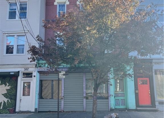 389 VAN DUZER ST
