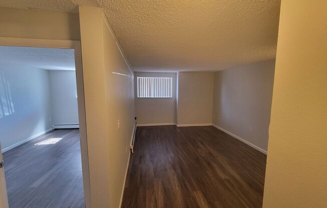 1 bed, 1 bath, 600 sqft, $1,135