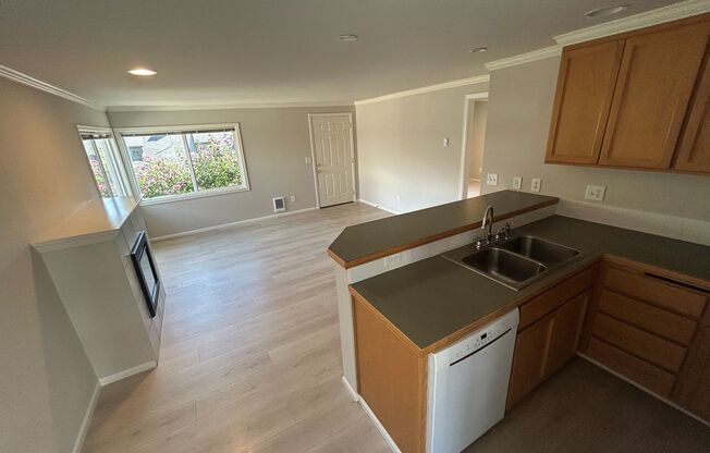 Buchan Apartments in Madison Park