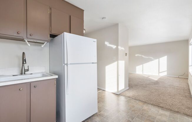 Studio, 1 bath, 410 sqft, $1,290, Unit 302