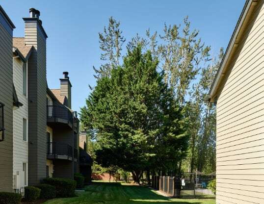 a grassy path between two apartment buildings with trees in the background