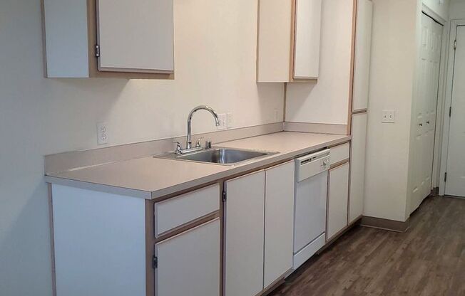 1 bed, 1 bath, 725 sqft, $1,100, Unit 215