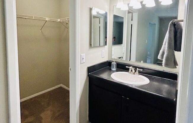 Studio, 1 bath, 530 sqft, $986, Unit 127420