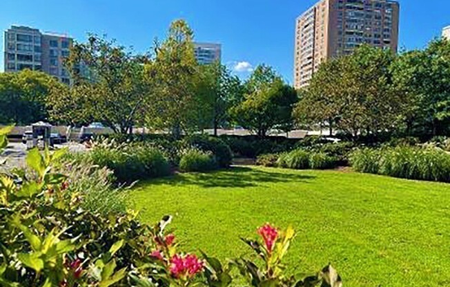 Studio, 1 bath, 650 sqft, $2,800, Unit 16B