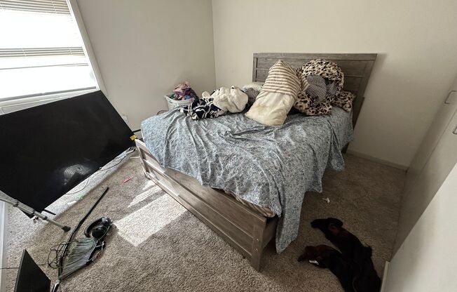 2 beds, 1 bath, $1,350, Unit 217