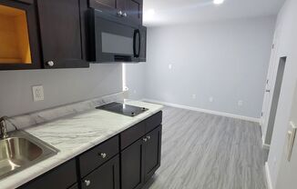 Studio, 1 bath, 300 sqft, $900, Unit 1B