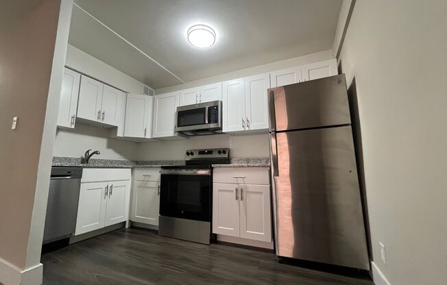 1 bed, 1 bath, $1,295, Unit 505