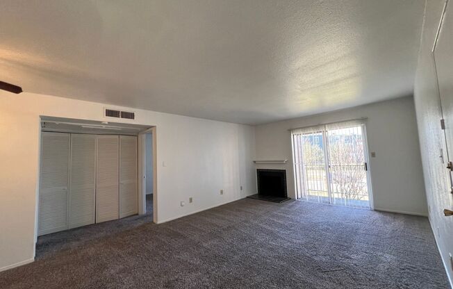 1 bed, 1 bath, 660 sqft, $1,000, Unit 1206