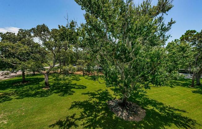 2 beds, 2 baths, 1,210 sqft, $1,950