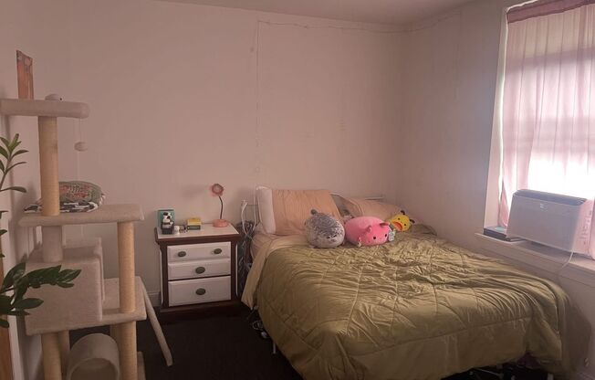 1 bed, 1 bath, 396 sqft, $1,095, Unit A106