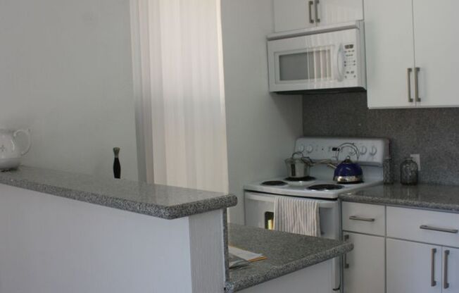 1 bed, 1 bath, 550 sqft, $2,495, Unit 312