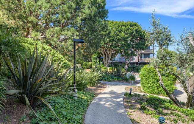 a path through a garden with trees and plants at Mariners Village, California, 90292