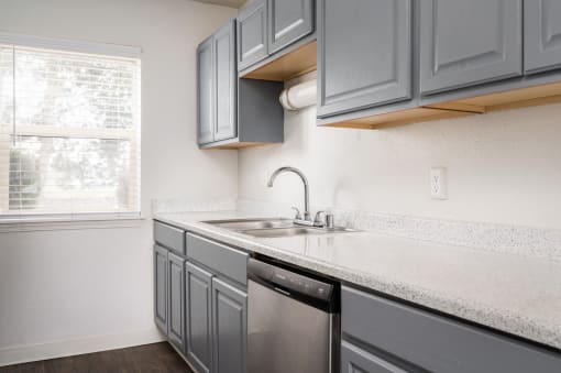 the preserve at ballantyne commons apartment kitchen with sink and dishwasher