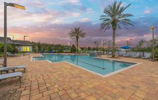 a swimming pool with palm trees and chairs around it