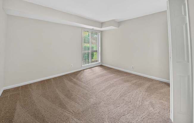 A room with a carpeted floor and a window.