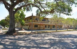 1/2 off 1st Months rent 1 Bed/ 1 Bath Fully Remodeled first floor apartment