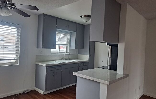 Viking Pacific Apartments