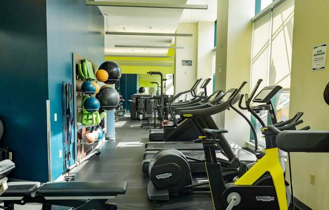 a gym with cardio equipment and weights