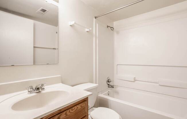 a bathroom with a sink and a tub and a toilet