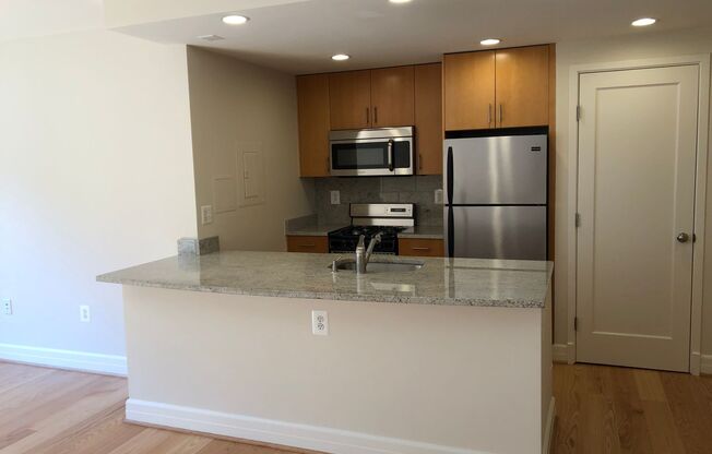 Studio, 1 bath, 460 sqft, $2,400, Unit 0519