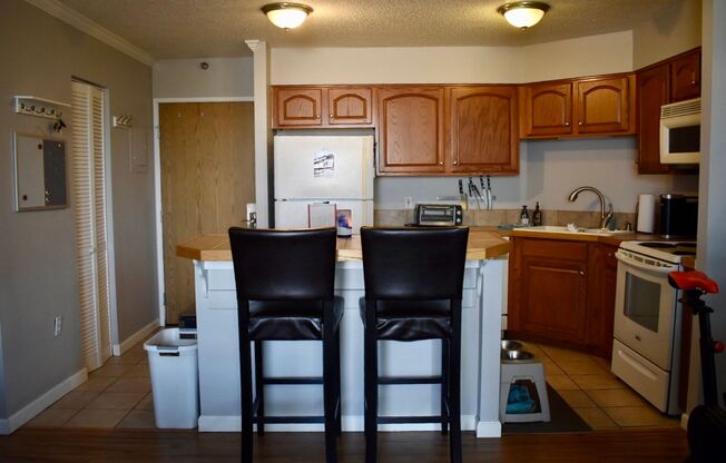 Fully Furnished 1 Bedroom Condo 1 Mile from Denver Health