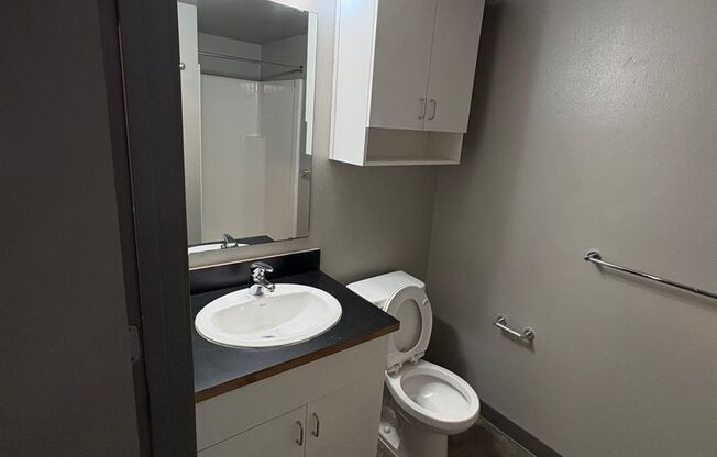 Studio, 1 bath, 239 sqft, $999, Unit 416