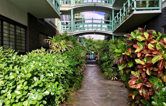 Gold Coast, Diamond Head Ambassador - 1BR/1BA/Street Parking