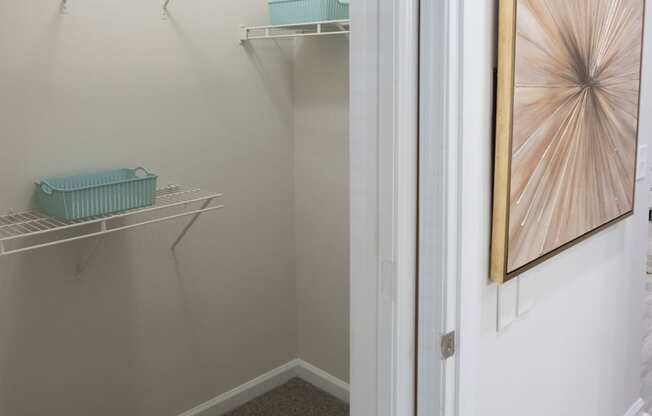 apartment closet walk in