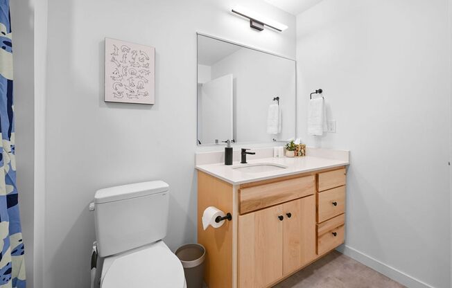 Studio, 1 bath, 530 sqft, $1,385, Unit 319