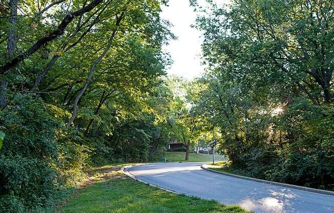 a winding road with trees on the side of it