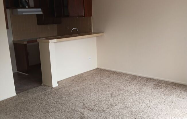 Studio, 1 bath, $1,550, Unit 08