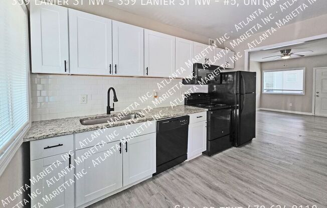 NW 359 LANIER ST NW