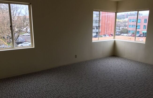 1 bed, 1 bath, 548 sqft, $1,347, Unit 301B