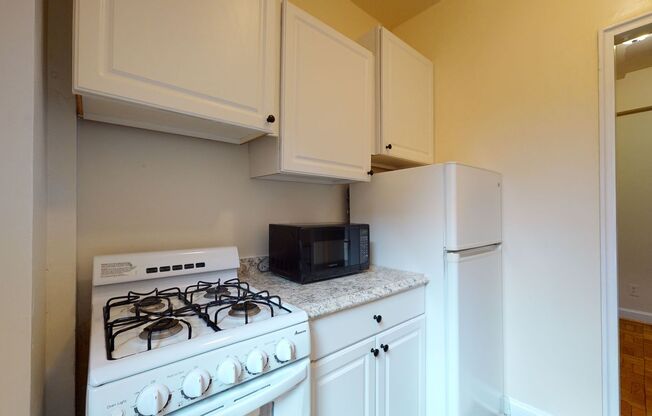 Foggy Bottom Efficiency W/Roofdeck & Garden BBQ Patio