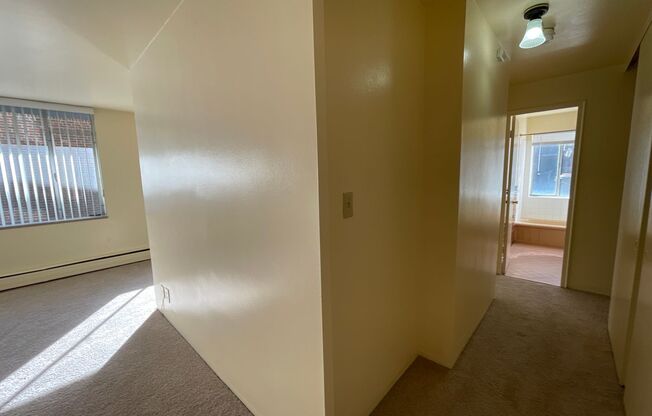 1 bed, 1 bath, 605 sqft, $995, Unit 410